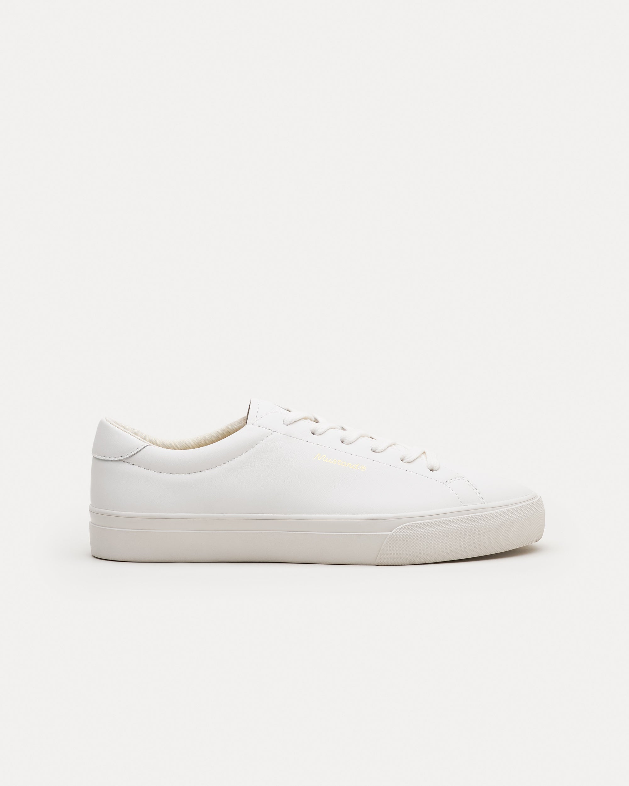 Aster White
