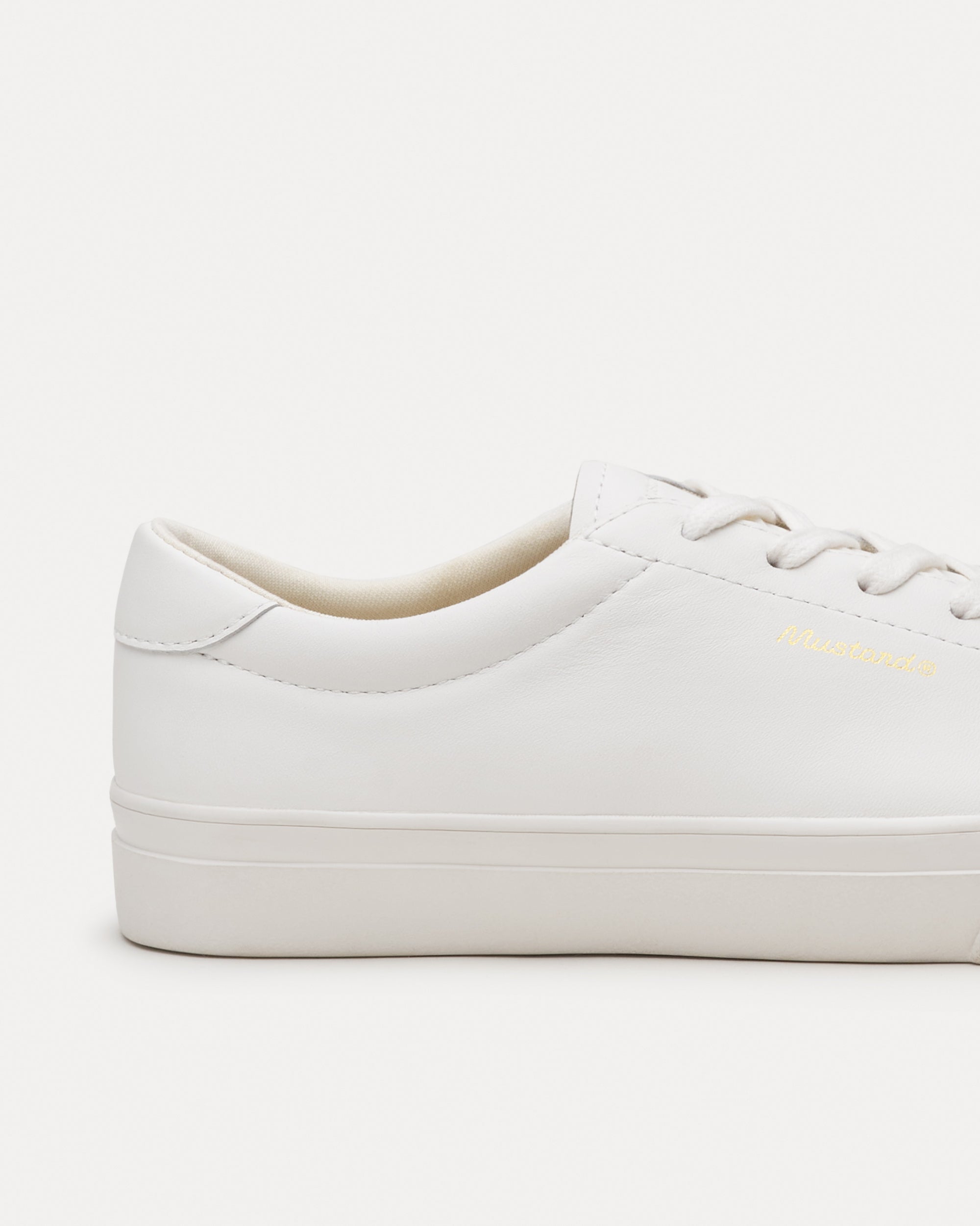 Aster White