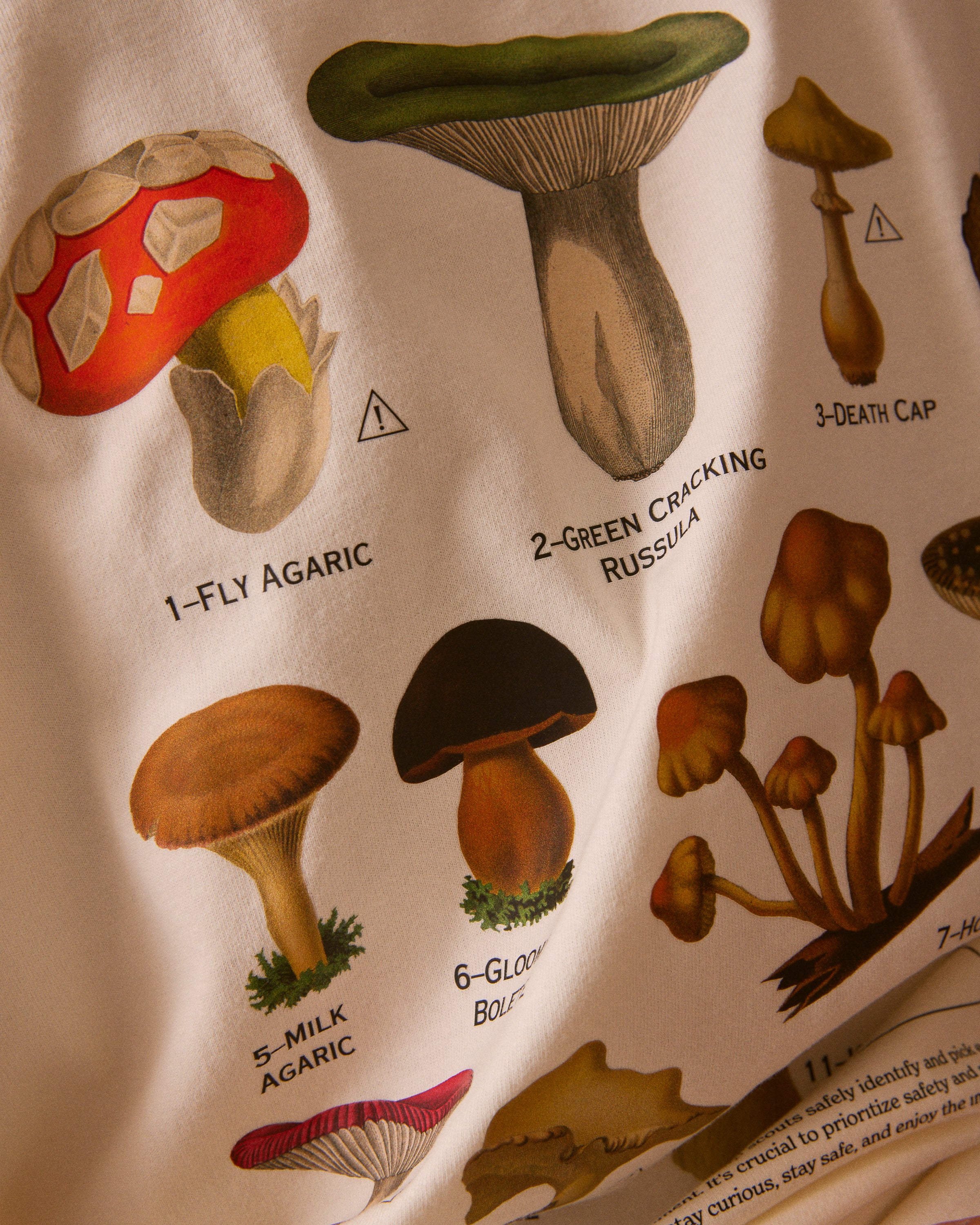Mushroom Tee - Off-White